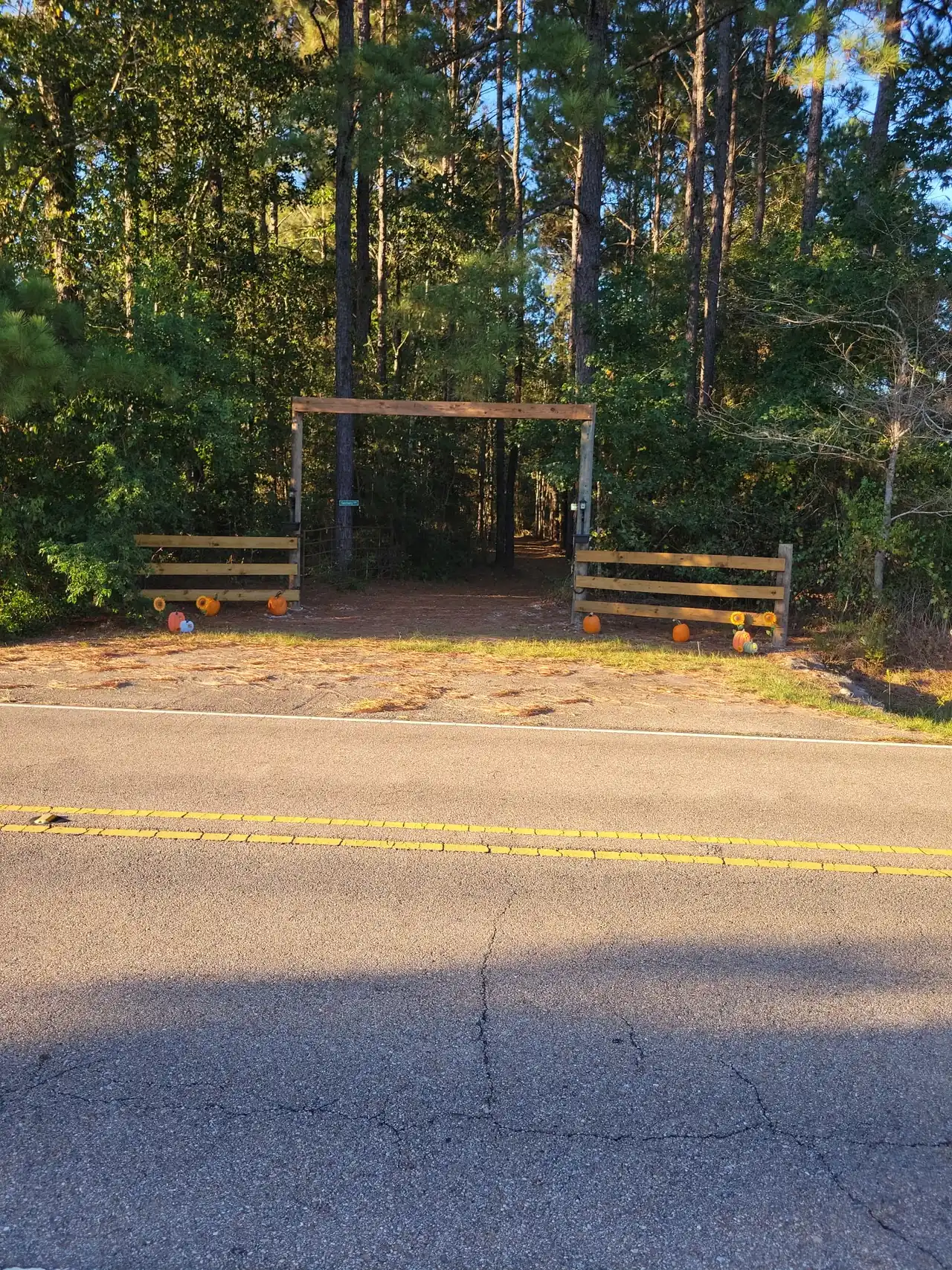 The wooden entrance to the sanctuary on Lake Ramsey Road, decorated with pumpkins